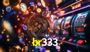 Interface Premium br333
