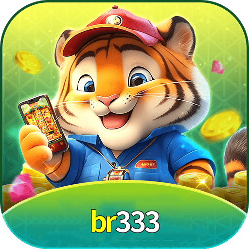 br333